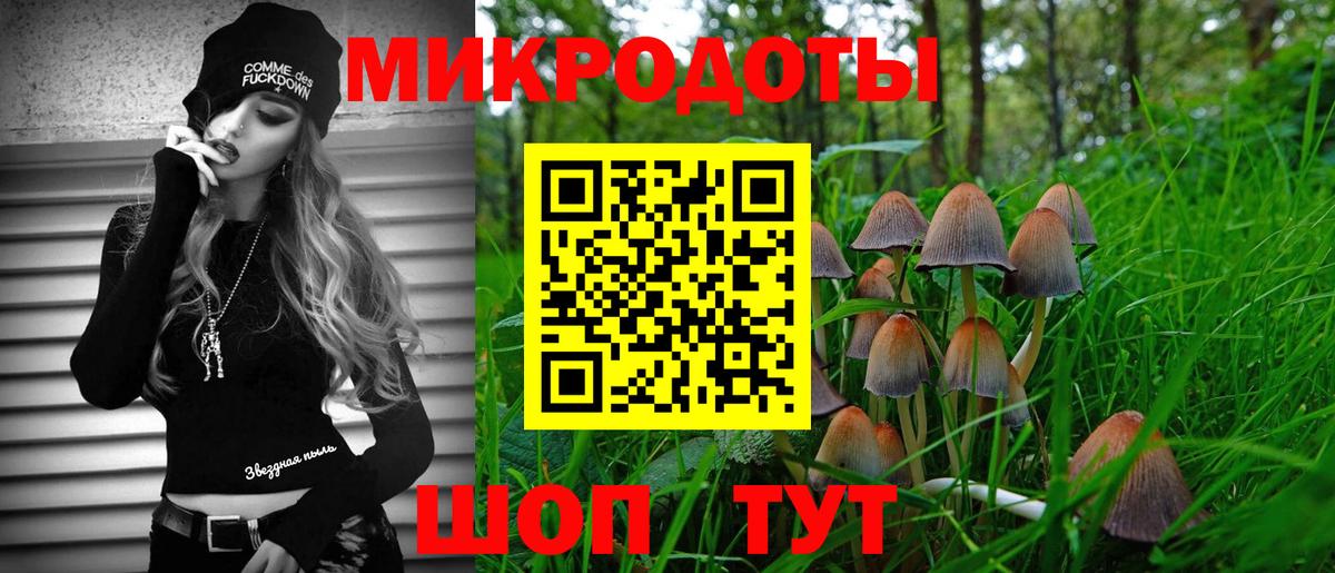 Галлюциногенные грибы Psilocybe  Вход с VPN  Шахты 