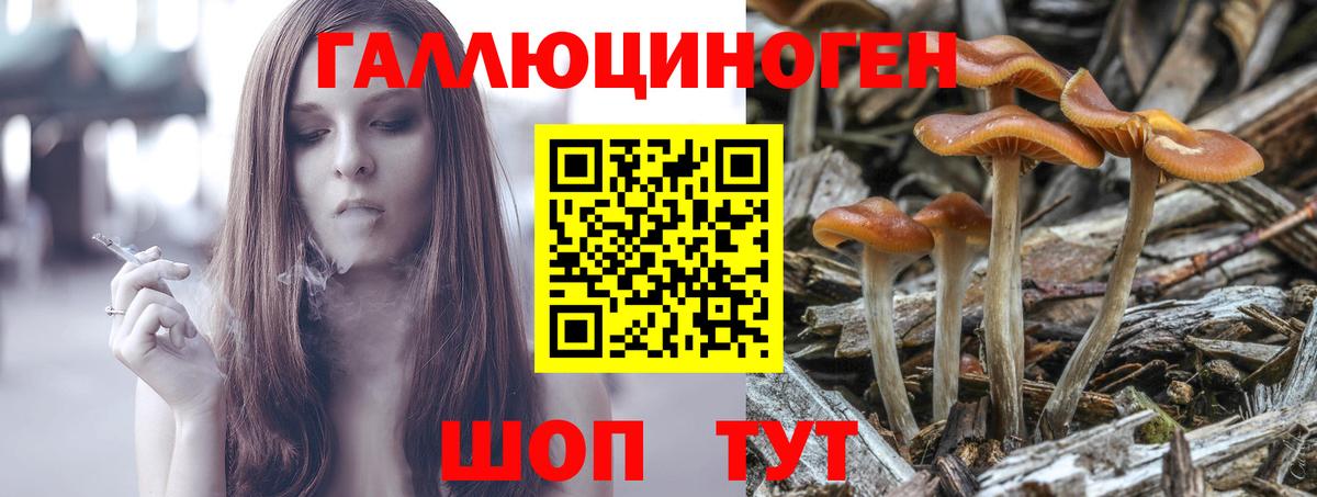 Псилоцибиновые грибы MAGIC MUSHROOMS Шахты
