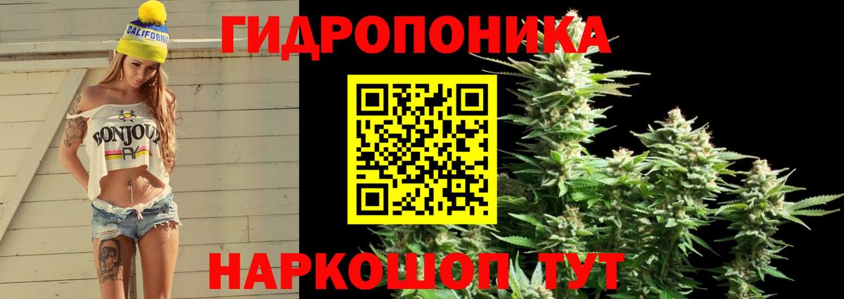 Конопля Ganja Шахты